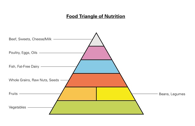 New Food Triangle