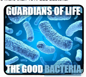 Good Bacteria