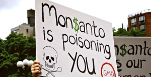 Monsanto-Lawsuit