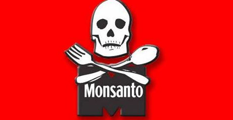 The New Monsanto Logo