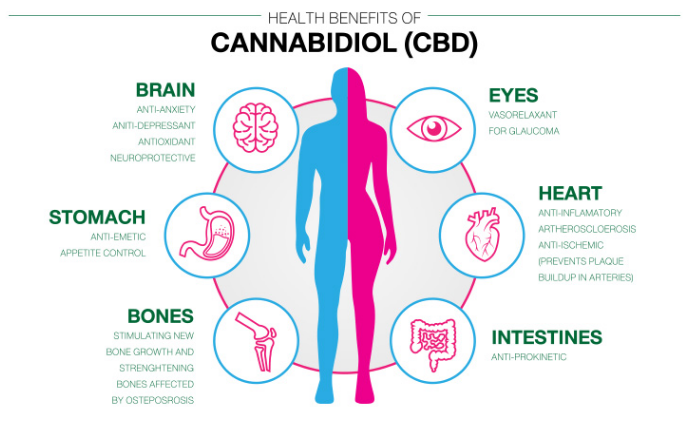 What Is Cannabis About? FAQ | DetoxMySystem.com